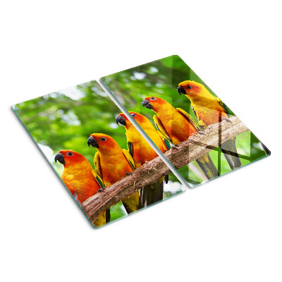 Glass chopping board Parrots on a branch