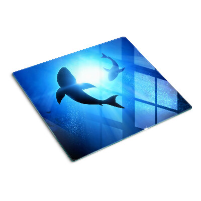 Glass kitchen board Sharks in underwater light