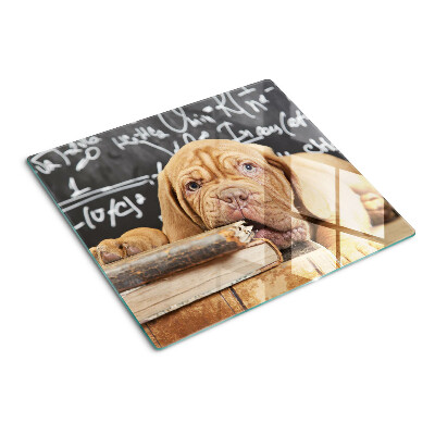 Glass kitchen board Dog with books and a blackboard