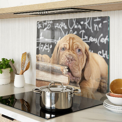 Glass kitchen board Dog with books and a blackboard
