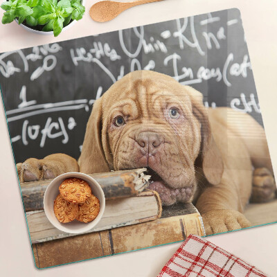 Glass kitchen board Dog with books and a blackboard