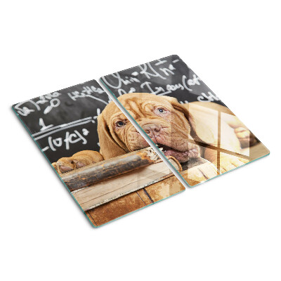 Glass kitchen board Dog with books and a blackboard