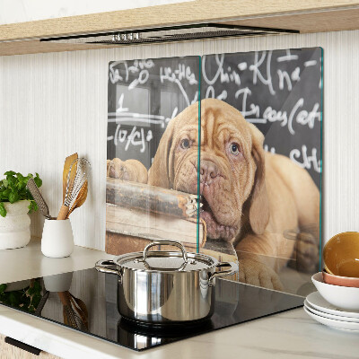 Glass kitchen board Dog with books and a blackboard