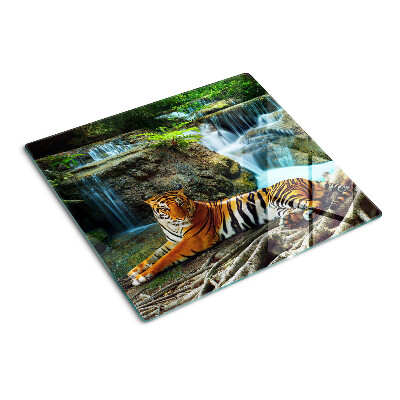 Glass kitchen board Tiger in its natural habitat