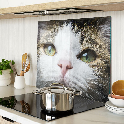 Glass kitchen board Cat with green eyes