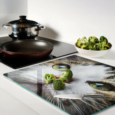 Glass kitchen board Cat with green eyes