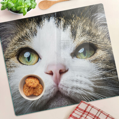 Glass kitchen board Cat with green eyes