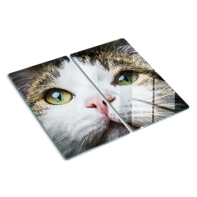 Glass kitchen board Cat with green eyes