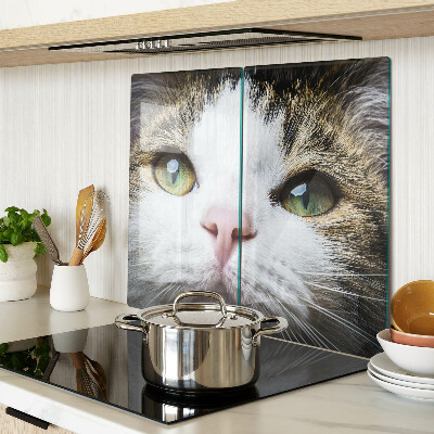 Glass kitchen board Cat with green eyes