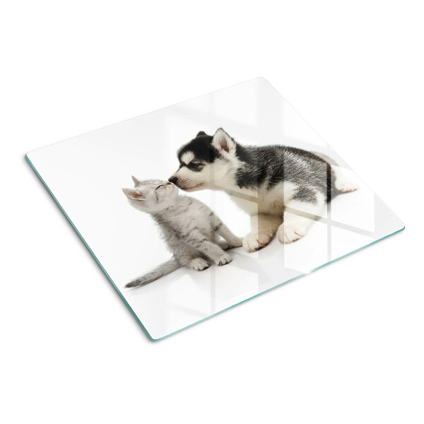 Glass kitchen board Kitten and puppy in friendship