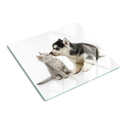 Glass kitchen board Kitten and puppy in friendship