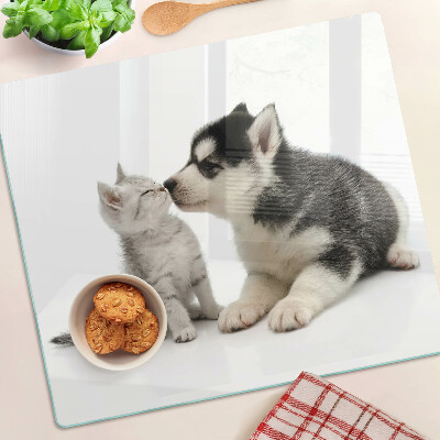 Glass kitchen board Kitten and puppy in friendship