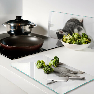 Glass kitchen board Kitten and puppy in friendship