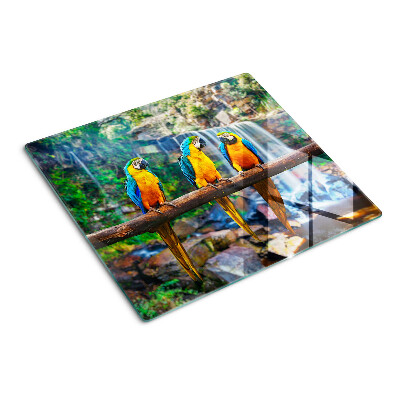 Glass chopping board Parrots on a branch in a tropical forest