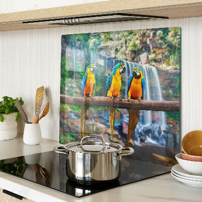 Glass chopping board Parrots on a branch in a tropical forest