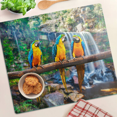 Glass chopping board Parrots on a branch in a tropical forest