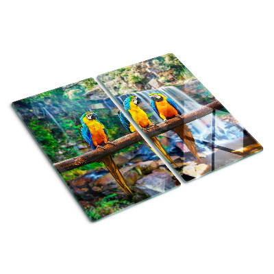 Glass chopping board Parrots on a branch in a tropical forest
