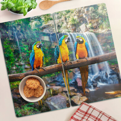 Glass chopping board Parrots on a branch in a tropical forest