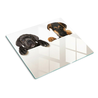 Glass chopping board Two dogs looking around