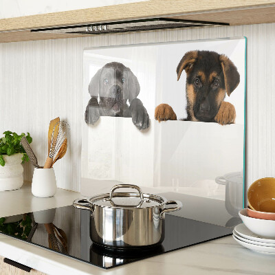 Glass chopping board Two dogs looking around