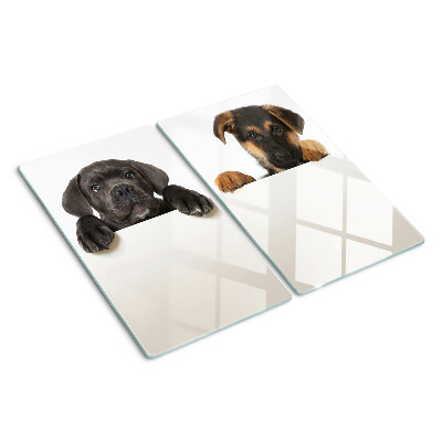 Glass chopping board Two dogs looking around