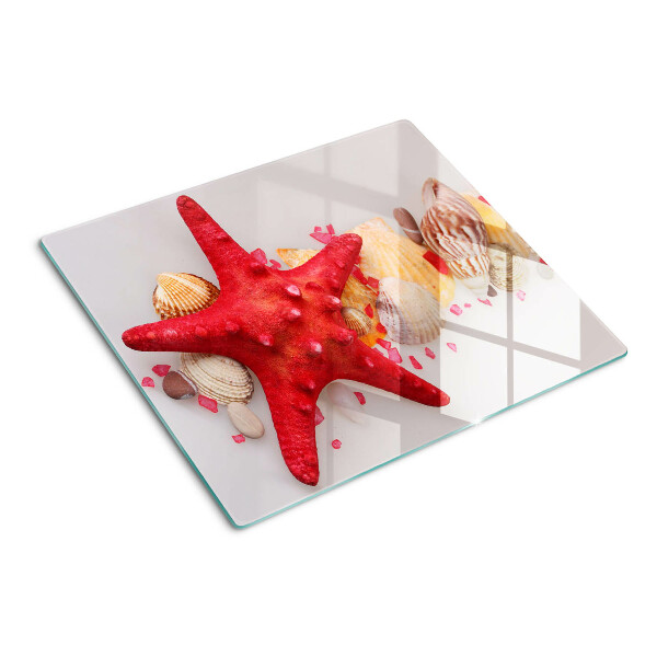 Glass kitchen board Shells and sea star