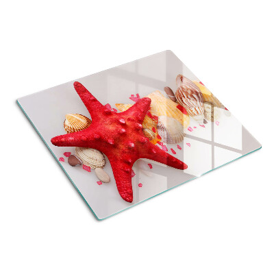 Glass kitchen board Shells and sea star