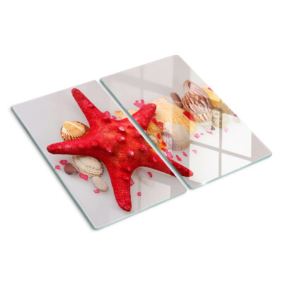 Glass kitchen board Shells and sea star
