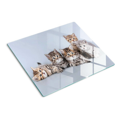 Glass kitchen board Cats in front of the window