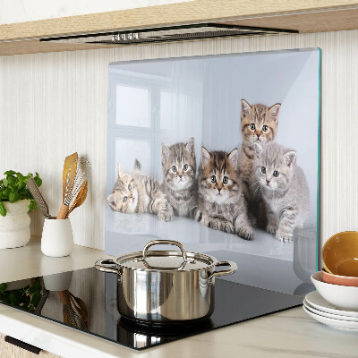 Glass kitchen board Cats in front of the window