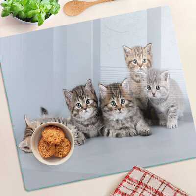 Glass kitchen board Cats in front of the window
