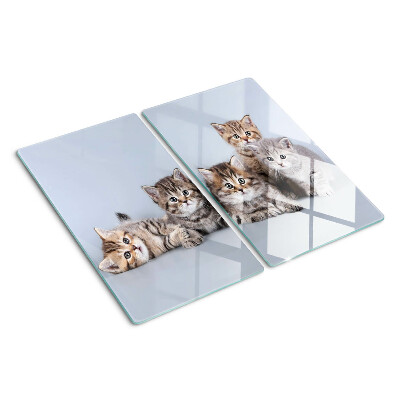 Glass kitchen board Cats in front of the window