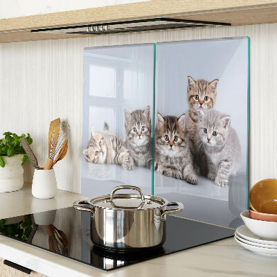 Glass kitchen board Cats in front of the window