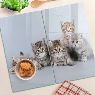 Glass kitchen board Cats in front of the window