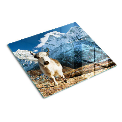Glass kitchen board Cow in the mountains