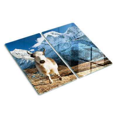 Glass kitchen board Cow in the mountains