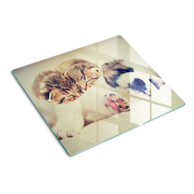 Glass chopping board Cats and a dog sleeping together