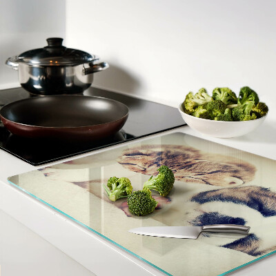 Glass chopping board Cats and a dog sleeping together