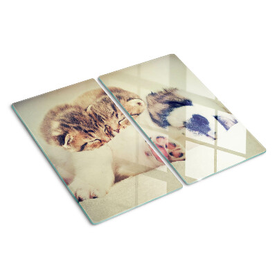 Glass chopping board Cats and a dog sleeping together