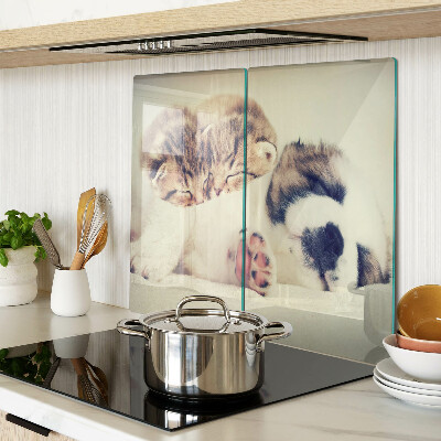 Glass chopping board Cats and a dog sleeping together