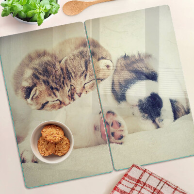 Glass chopping board Cats and a dog sleeping together