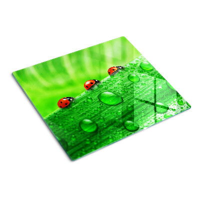Glass chopping board Ladybugs on a green background