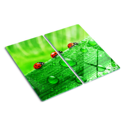 Glass chopping board Ladybugs on a green background