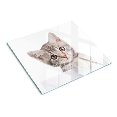 Glass kitchen board Kitten with big eyes