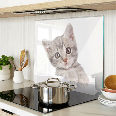 Glass kitchen board Kitten with big eyes