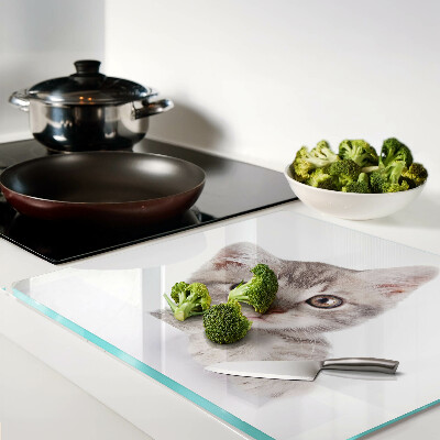 Glass kitchen board Kitten with big eyes