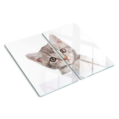 Glass kitchen board Kitten with big eyes