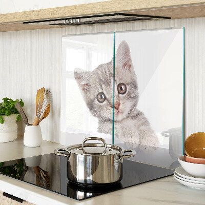 Glass kitchen board Kitten with big eyes