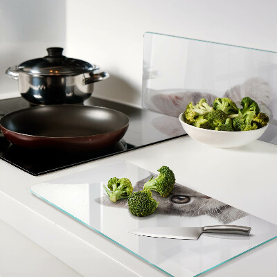 Glass kitchen board Kitten with big eyes