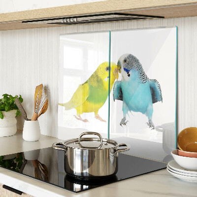 Glass kitchen board Yellow and blue parrots